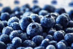 Blueberries