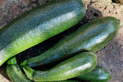 Courgette