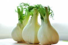 Fennel