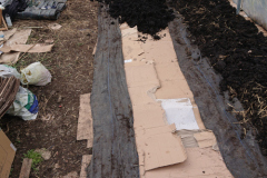 No-Dig Bed